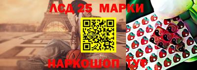 шишки Можга