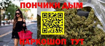 шишки Можга