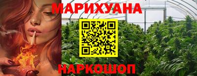 шишки Можга