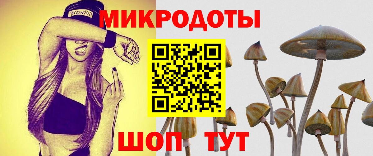 Псилоцибиновые грибы Cubensis  сколько стоит  Шали  Вход с VPN 